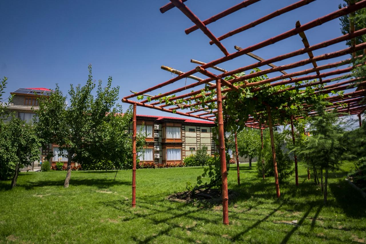 A serene view from a cozy guesthouse balcony